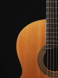 I want to sponsor a Guitar Sarasota  International Series Concert for $4000