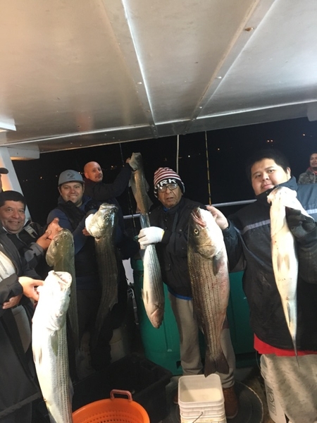 Night Striped Bass & Blues 7 00 p.m