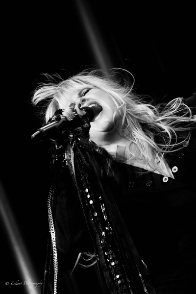 WHITE WINGED DOVE: A TRIBUTE TO STEVIE NICKS - TAD Management