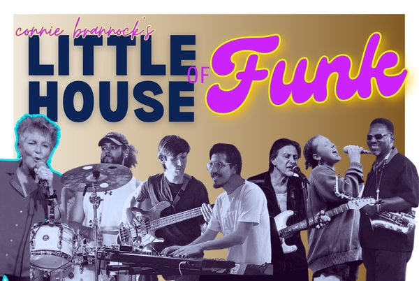 CONNIE BRANNOCK'S LITTLE HOUSE OF FUNK