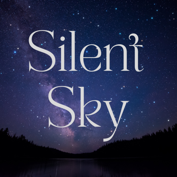 Silent Sky
