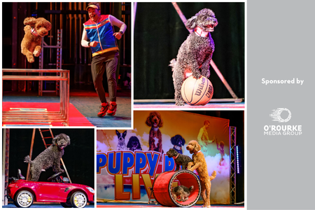 Puppy Pals Live!