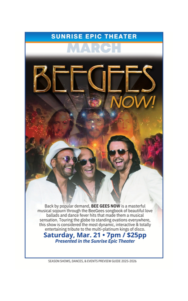 The Bee Gees Now