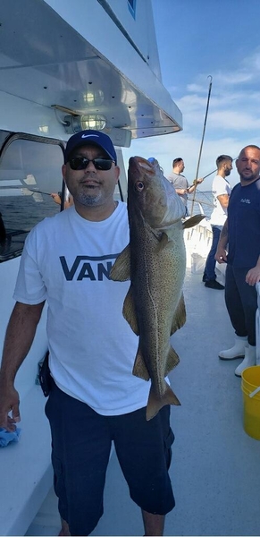 MJ 4 Full day porgys and seabass