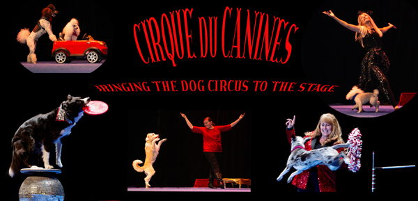 Cirque du Canine