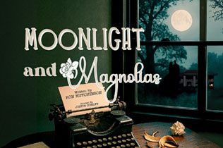 Moonlight & Magnolias