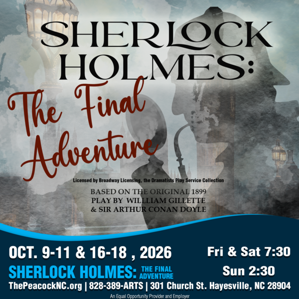 Sherlock Holmes: The Final Adventure