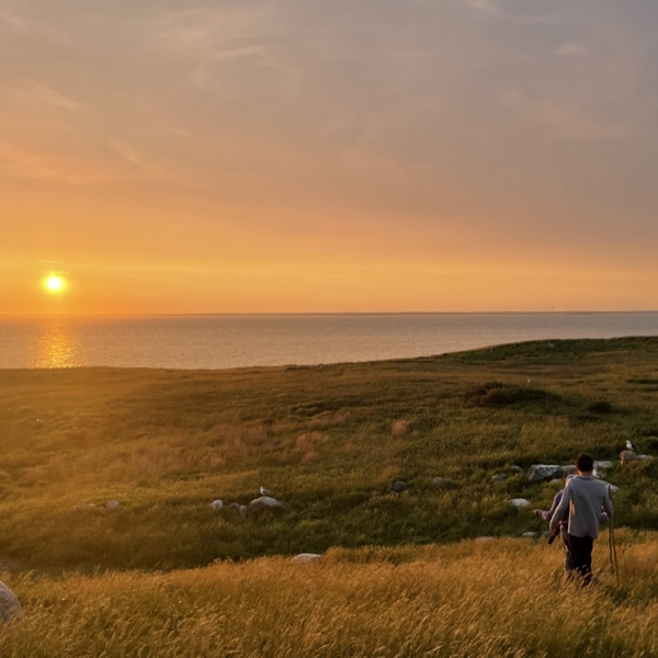 An Evening with the Gull Island Institute