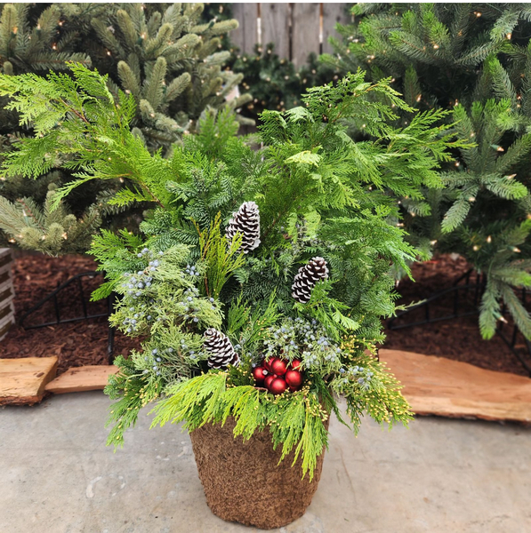 ALLISONVILLE - Porch Pots and Prosecco 