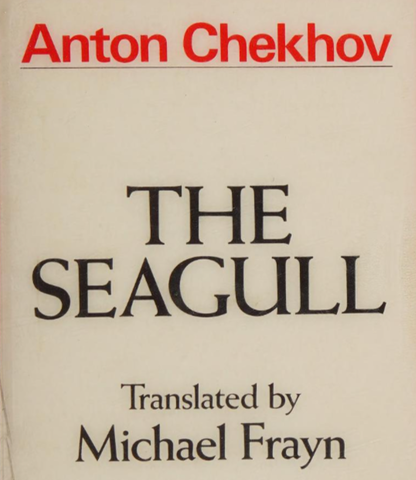 The Seagull