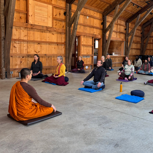 Loving Kindness and Mindfulness Meditation: A 90-Minute Journey