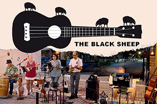 Blacksheep Ukulele Concert