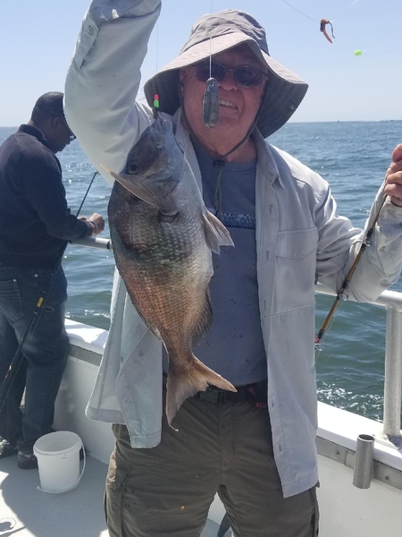 MJ4 1/2 Day  Porgy  Fishing 8am - 1pm 