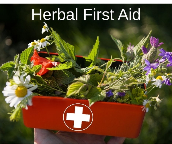 Herbal First Aid