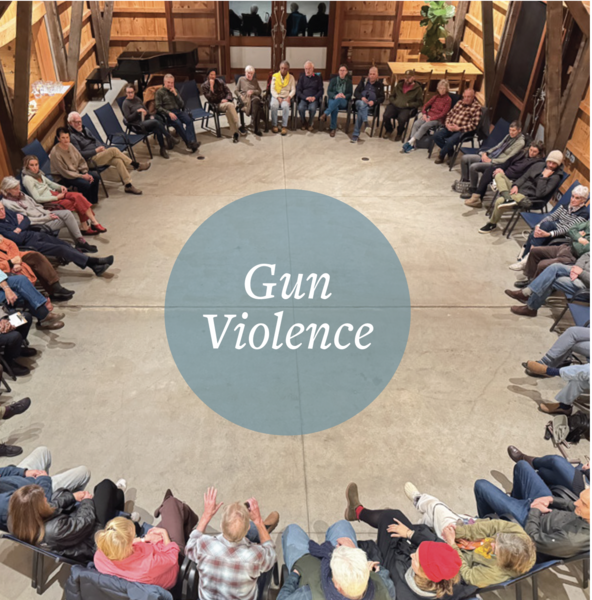 Friday-Night Forum: Gun Violence