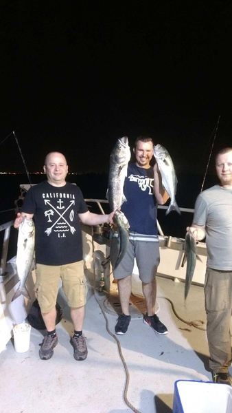 Night Striped Bass & Blues 7 00 p.m