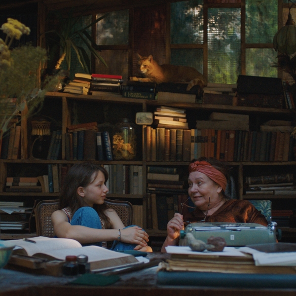 I Accidentally Wrote A Book