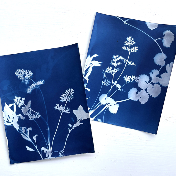 FOLIARTS - CYANOTYPE PRINTING