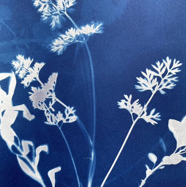 FOLIARTS - CYANOTYPE PRINTING