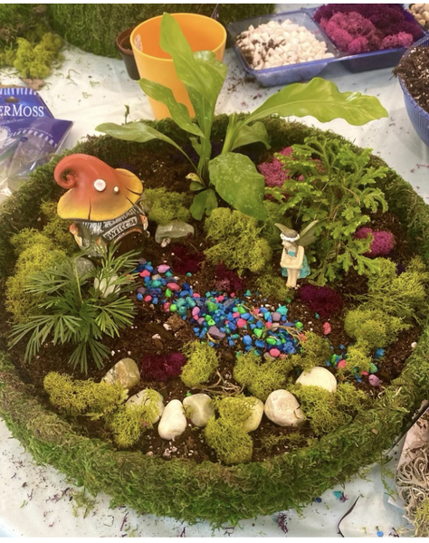 ALLISONVILLE - Fairy Garden Workshop