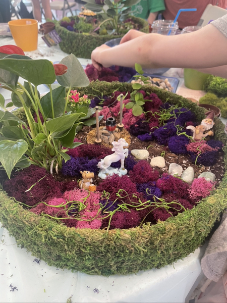 ALLISONVILLE - Fairy Garden Workshop