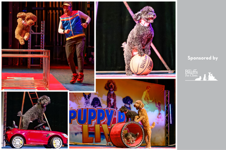 Puppy Pals Live!