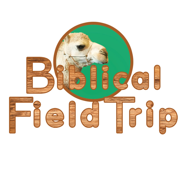 Biblical Field Trip 