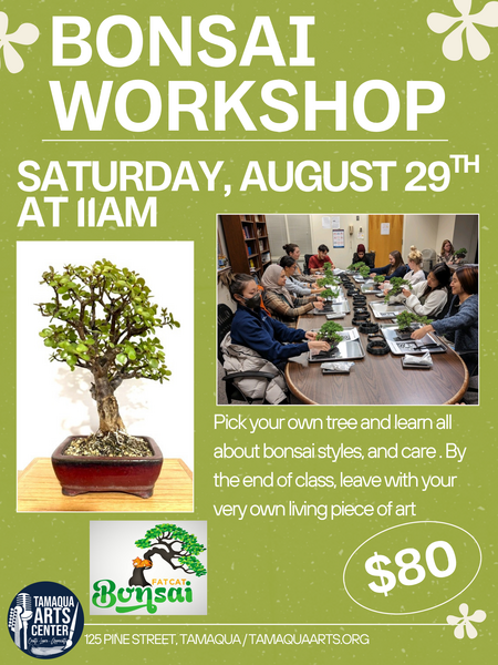 Bonsai Workshop