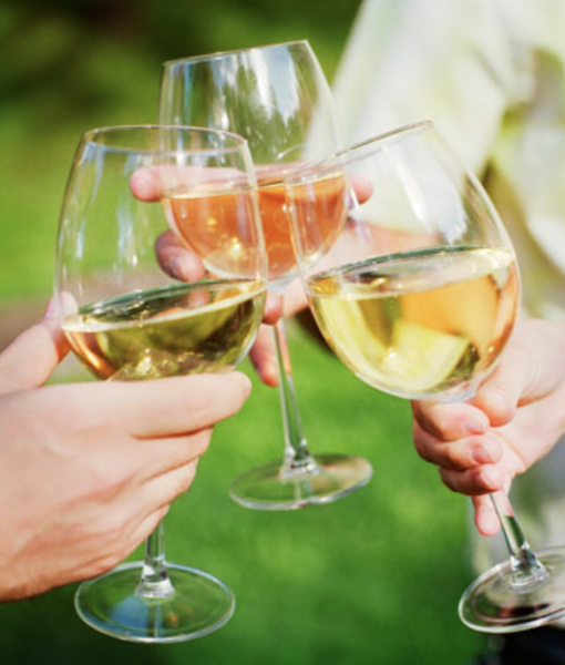 The Art of Cheese & Wine 2026