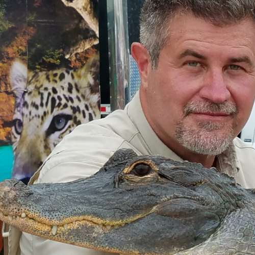 Wild World of Animals 