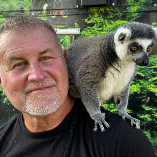 Wild World of Animals 