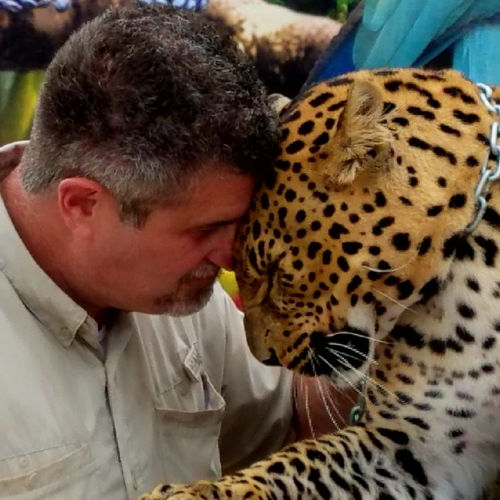 Wild World of Animals 