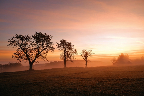 January: Awakenings