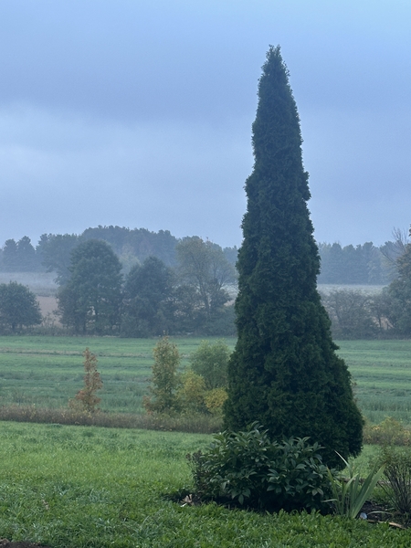 STUDIO MEMBERS EVENT - plein air farm picnic
