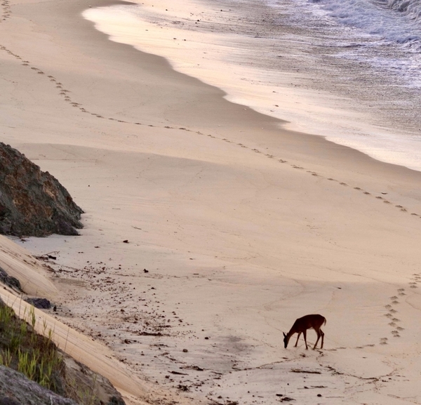 A Sneak Peek at the TICKING POINT doc: The Island Searches for Answers