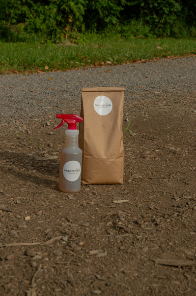 We've Got Worms- the power of worm poop!