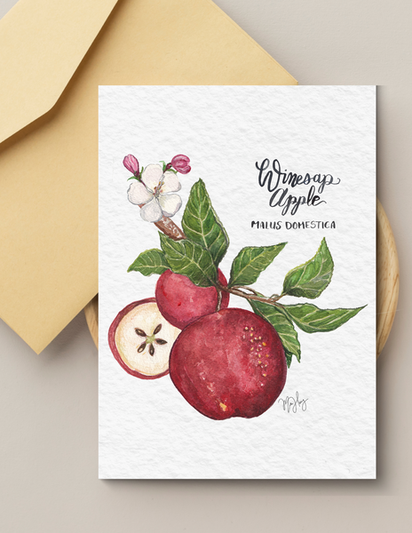 Paint Your Own Fall Fruit Botanical Illustration