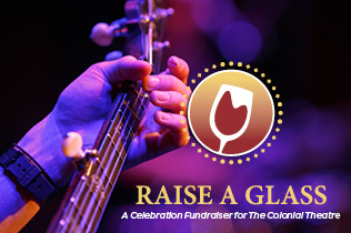 Raise a Glass: A Celebration Fundraiser