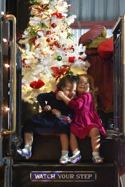 Festival of 100 Trees Early Company Registration ends Sep. 15
