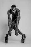 THE GRAY: A Celebration of Human Complexity