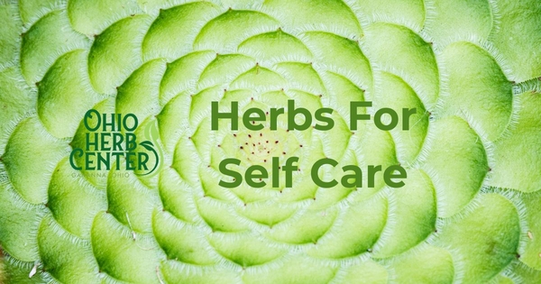 Virtual Herbs for Selfcare