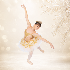 The Nutcracker