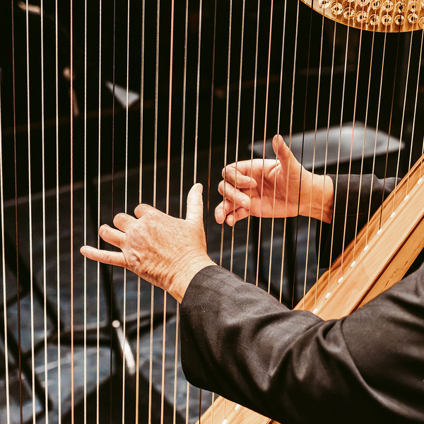 Beethoven Symphony No. 8 in F major, Op. 38  