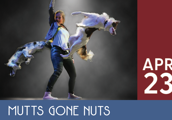 Mutts Gone Nuts