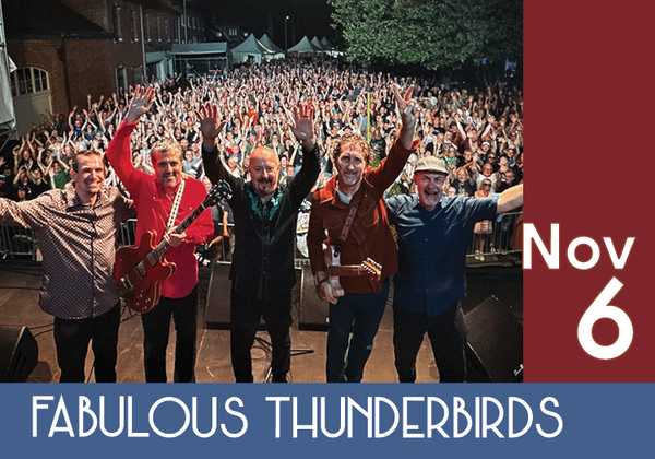 The Fabulous Thunderbirds