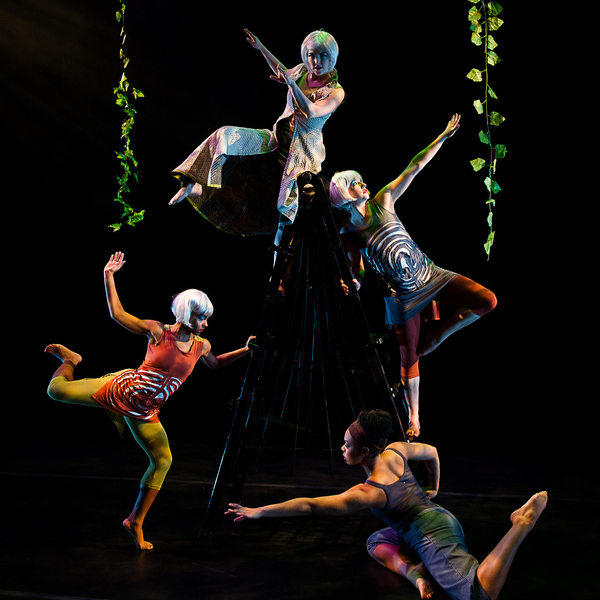 Under the Tangle (Student Matinee)
