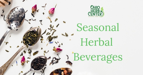Spring Herbal Beverages