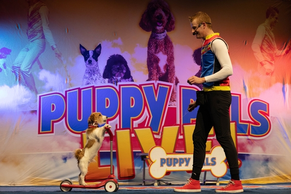 Puppy Pals Live!