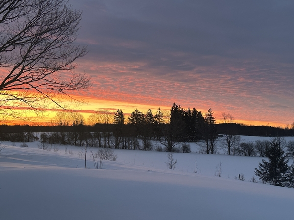 PAINTING: WINTER LIGHT, SNOW AND LONG SHADOWS