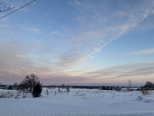 PAINTING: WINTER LIGHT, SNOW AND LONG SHADOWS